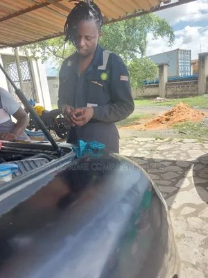 Volkswagen, Audi, Porsche, Skoda and Seat Mechanic