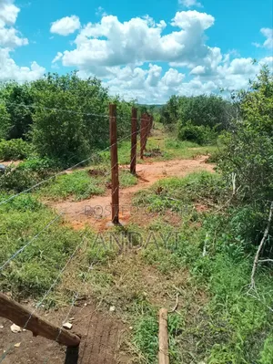 30 Acres Farmland For Sale
