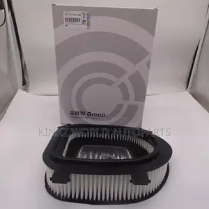 Genuine BMW F25 X3 Engine Air Filter Oem 