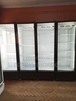 Comercial Chiller (Well Maintained)