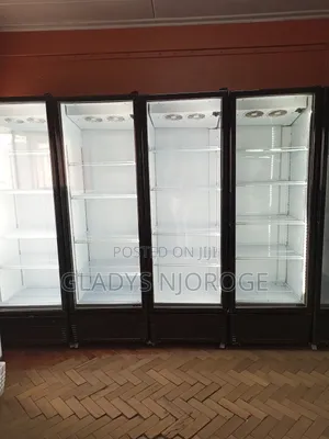 Comercial Chiller (Well Maintained)