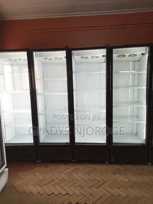 Comercial Chiller (Well Maintained)