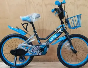Curved Flame Lute Size 20 Bicycle/ Quality Bike