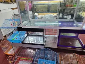 Fish Aquarium