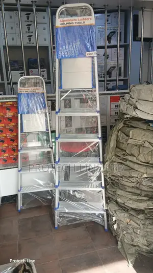 4 Steps a Type Aluminum Ladder