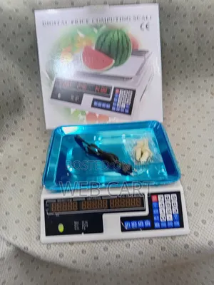 Digital Acs 40kg Armless Computing Scale