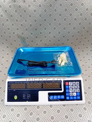 Digital Acs 40kg Armless Computing Scale