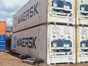 Affordable Reefer Containers-Cold Storage Solutions for Sale