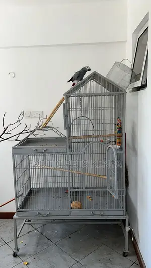 Imported Parrot Cage High Quality
