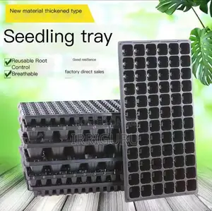 Nursery Traytransplanting Trayplant Planting Trayrecycling