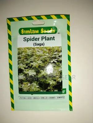 Spider Plant (Saga) Seeds - 10gm