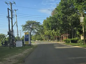 2nd Row Beach Plots 1/4 Acre Bofa Kilifi