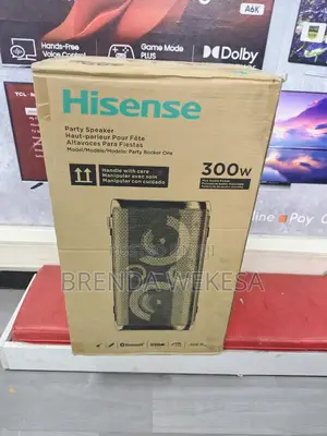 Hisense Hp100 300w Portable Party Rocker