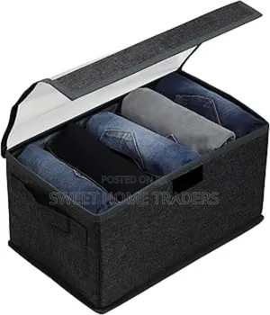 Foldable Clothes Organizer With Cover