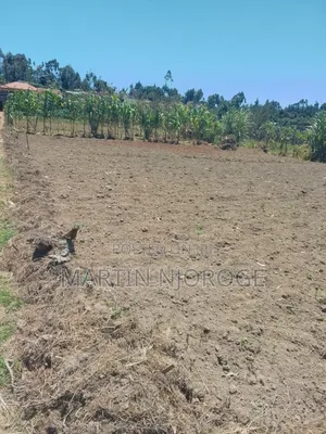 6 Acres Mwiciringiri