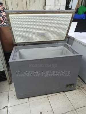 Premier Silver Deep Freezer Fridge