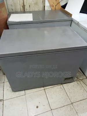Premier Silver Deep Freezer Fridge