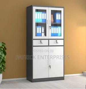 Imported Modern Metallic Filling Cabinet With Doors