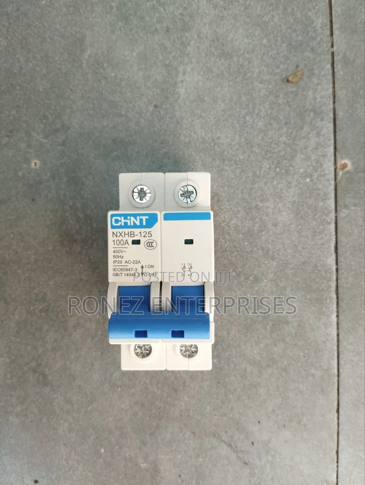 Double Pole Chint 100 Amps