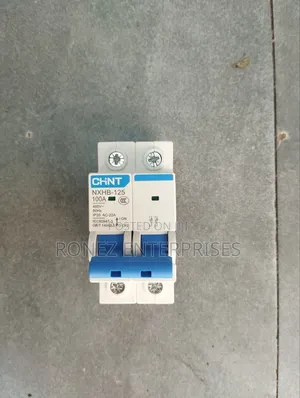 Double Pole Chint 100 Amps