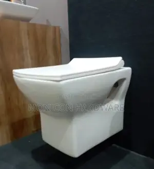 Wall Hung Water Closet
