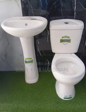 New Model Sawa Toilet