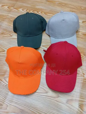 Pain Branding Quality Corporate Designer Baseball Caps Unise