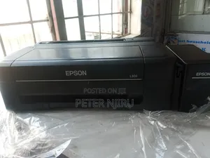 Epson Ecotank L300 /L303printer (