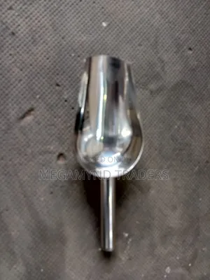 Stainless Steel Scooper