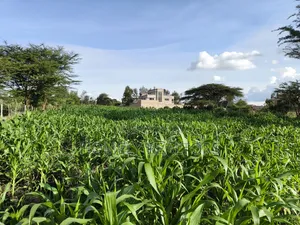 One Acre Piece of Land in Ongata Rongai, Rimpa Near Tarmac