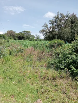 Sale of Plot