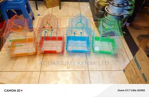 Bird Cage , 4 Colour Variants