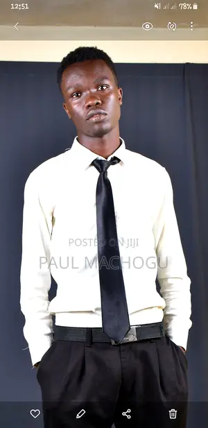 IT CV, Web Development Job