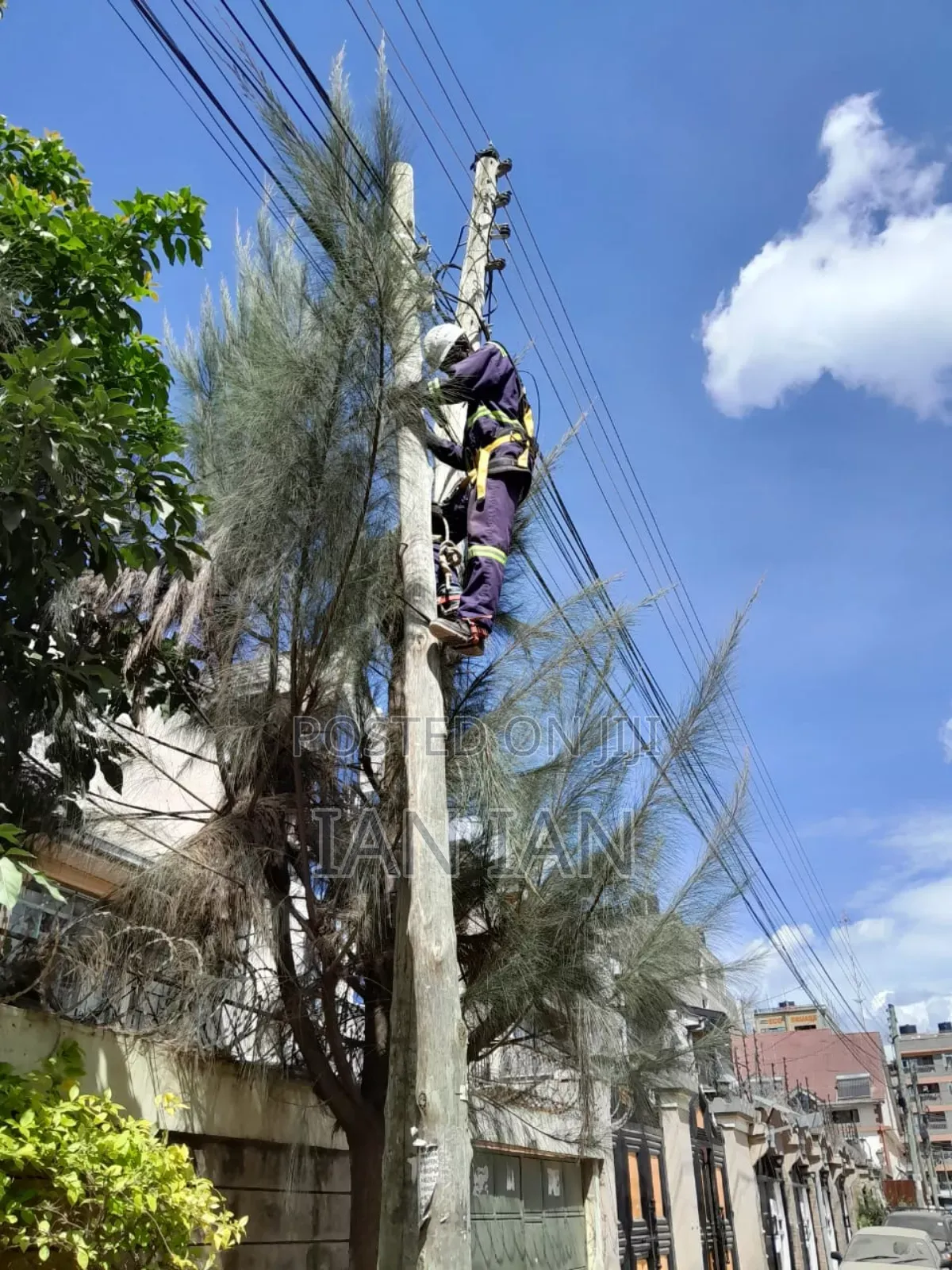 Fiber Technician