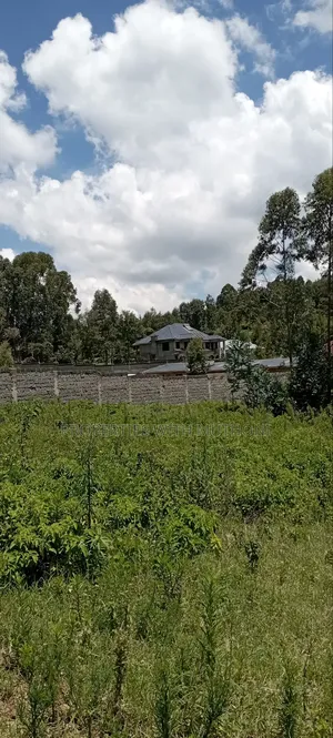 50×100 Plots for Sale in Matasia, Ngong.