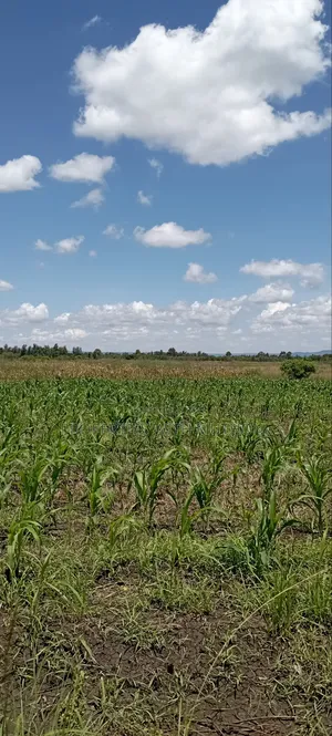 1 Acre Land for Sale in Kiamikuyu, Kandongu, Mwea.
