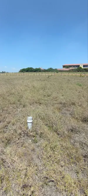 50×100 Plots for Sale in Kisaju.