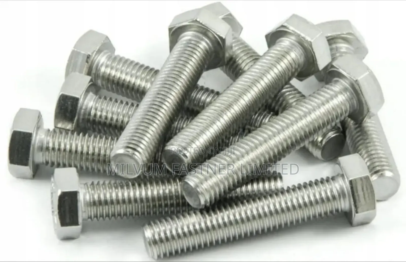 Stainless Hex Bolts