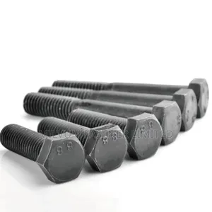 8.8 Hex Bolts