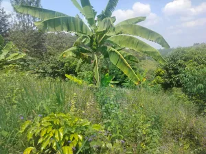 Muranga Kagure Kangwachi 2acre