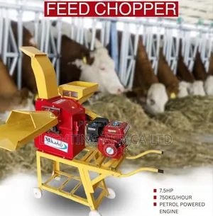 7.5hp Petrol Engine Feed Chopper 750kg/Hr