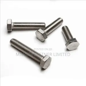 Stainless Steel Bolts