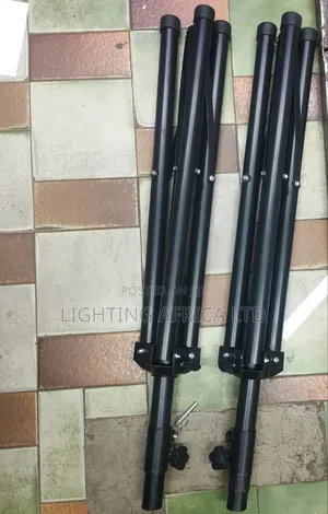 2 Pieces Metallic Speaker Stands