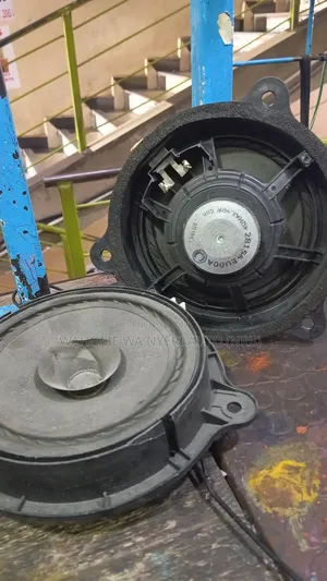 Ex Japan Door Speakers