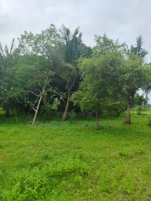Vipingo, 8 Acres Available for Sale