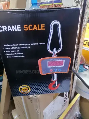 High Standard 500kg Crane Scale