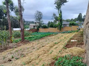 100 by 100 Plot Ngong Lemiso Rd for Sale Gated Community