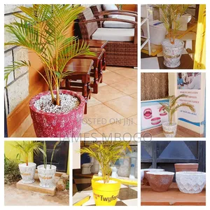 Flower Vases
