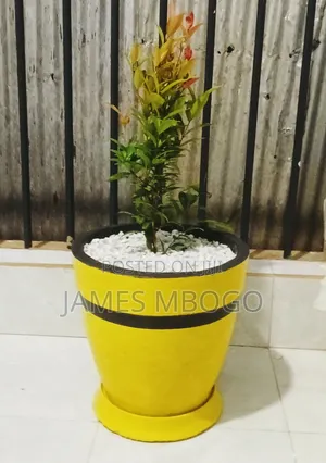 Flower Vases