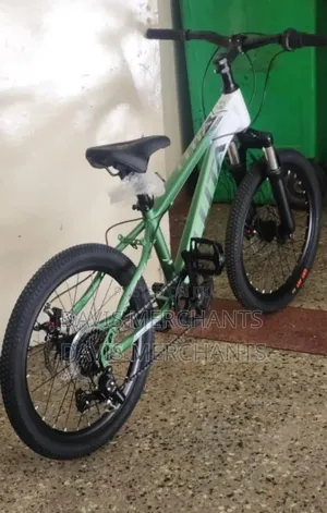 Sports Bike Size 20 With Gear and Mechanical Brakes